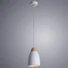 Подвесной светильник Arte Lamp Talli A5167SP-1WH Подвесной светильник Arte Lamp Talli A5167SP-1WH