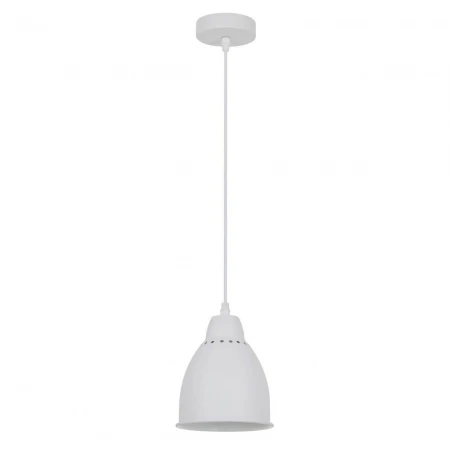 Подвесной светильник Arte Lamp Braccio A2054SP-1WH