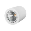 Потолочный светодиодный светильник Arlight SP-Focus-R120-16W White 021427