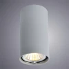 Потолочный светильник Arte Lamp A1516PL-1GY Потолочный светильник Arte Lamp A1516PL-1GY