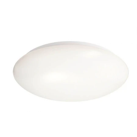 Потолочный светильник Deko-Light Euro LED 342042