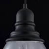 Подвесной светильник Maytoni Danas T162-00-B Подвесной светильник Maytoni Danas T162-00-B