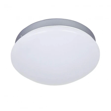 Потолочный светодиодный светильник F-Promo Ledante 2467-1C