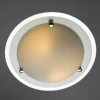 Потолочный светильник Arte Lamp A4831PL-2CC Потолочный светильник Arte Lamp A4831PL-2CC