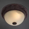 Потолочный светильник Arte Lamp Piatti A8007PL-2CK Потолочный светильник Arte Lamp Piatti A8007PL-2CK