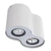 Потолочный светильник Arte Lamp Falcon A5633PL-2WH Потолочный светильник Arte Lamp Falcon A5633PL-2WH