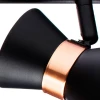 Спот Arte Lamp Baltimore A1406PL-3BK Спот Arte Lamp Baltimore A1406PL-3BK