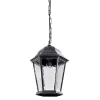 Уличный подвесной светильник Arte Lamp Genova A1205SO-1BS Уличный подвесной светильник Arte Lamp Genova A1205SO-1BS