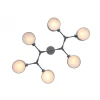 Потолочная люстра Evoluce Gimento SLE183702-06