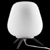 Настольная лампа Lightstar Arnia 805911 Настольная лампа Lightstar Arnia 805911