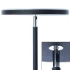 Торшер Arte Lamp Sceptrum A1822PN-1BK Торшер Arte Lamp Sceptrum A1822PN-1BK